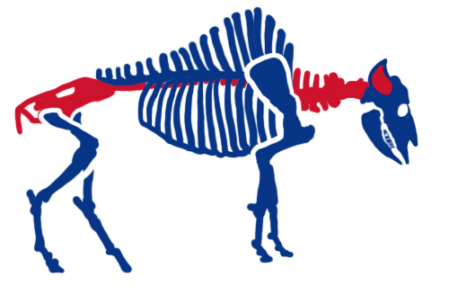 Buffalo Bills Halloween Logo iron on transfers